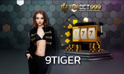 9tiger เว็บพนันออนไลน์เว็บที่รวมทุกแบรนด์ แทงมวย เล่นได้ทุกเกมที่นี่ pakyok77 พร้อมให้บริการทุกช่วงเวลา มาพร้อมระบบ ฝาก-ถอนออโต้ ไวทันใจ